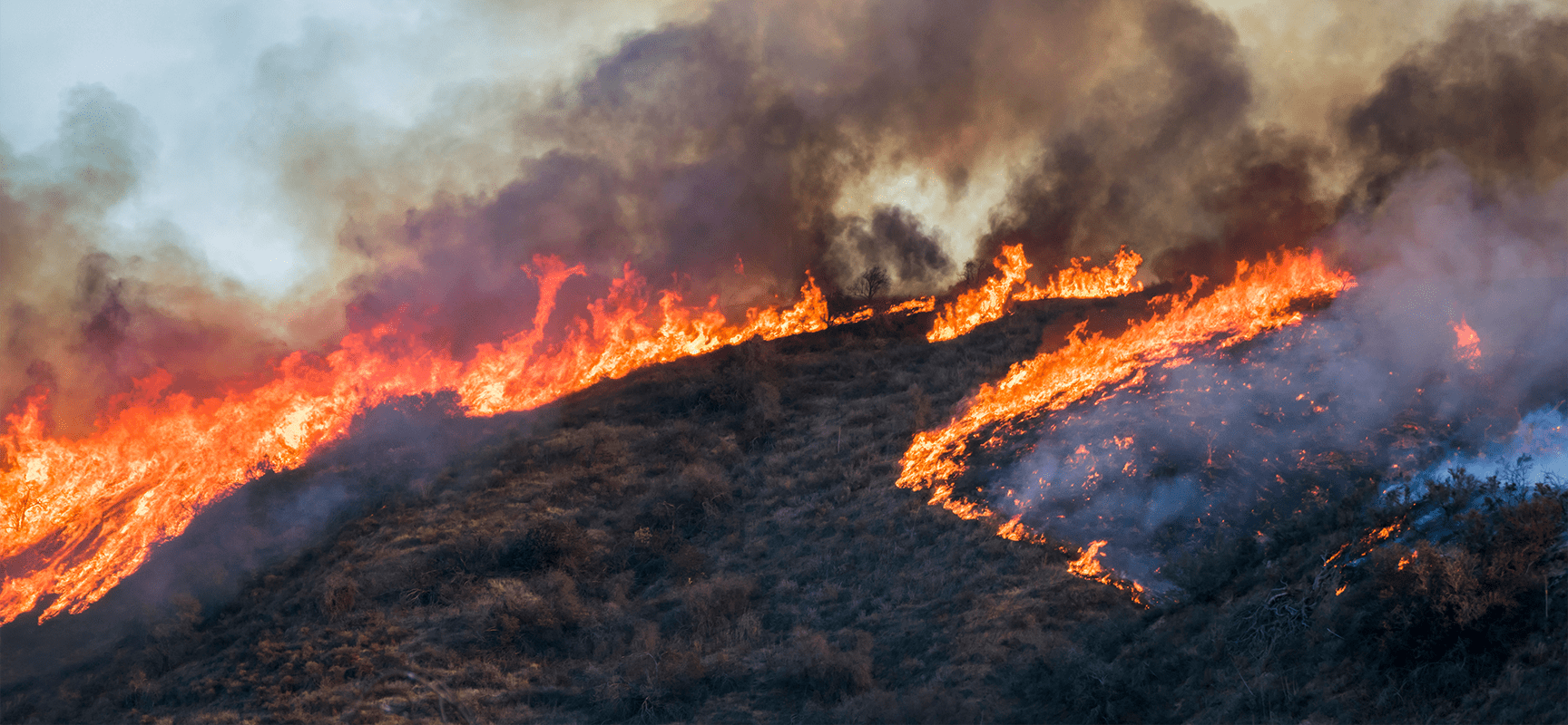 Protecting-Your-Business-from-Wildfires