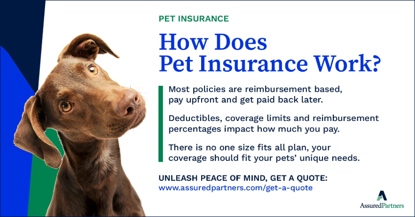 is pet insurance worth it for a puppy