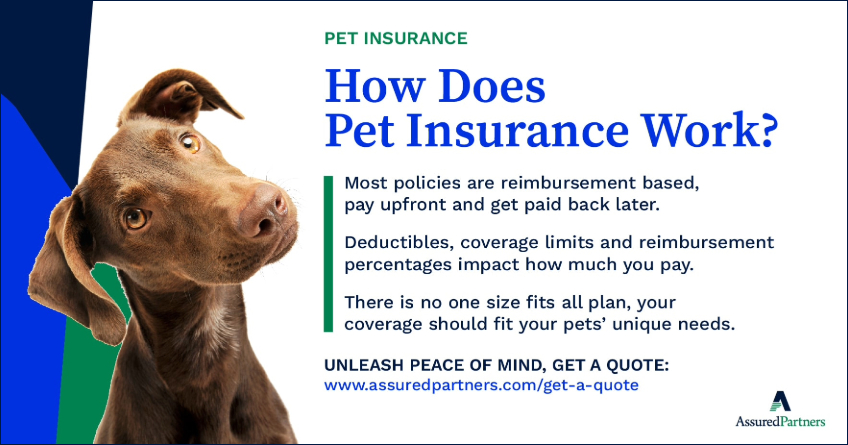How-Pet-Insurance-Works-Infographic