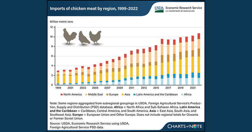 Outlook-for-the-US-Poultry-Market-A-Steady-Rise-in-Demand-and-Production-BlogContent